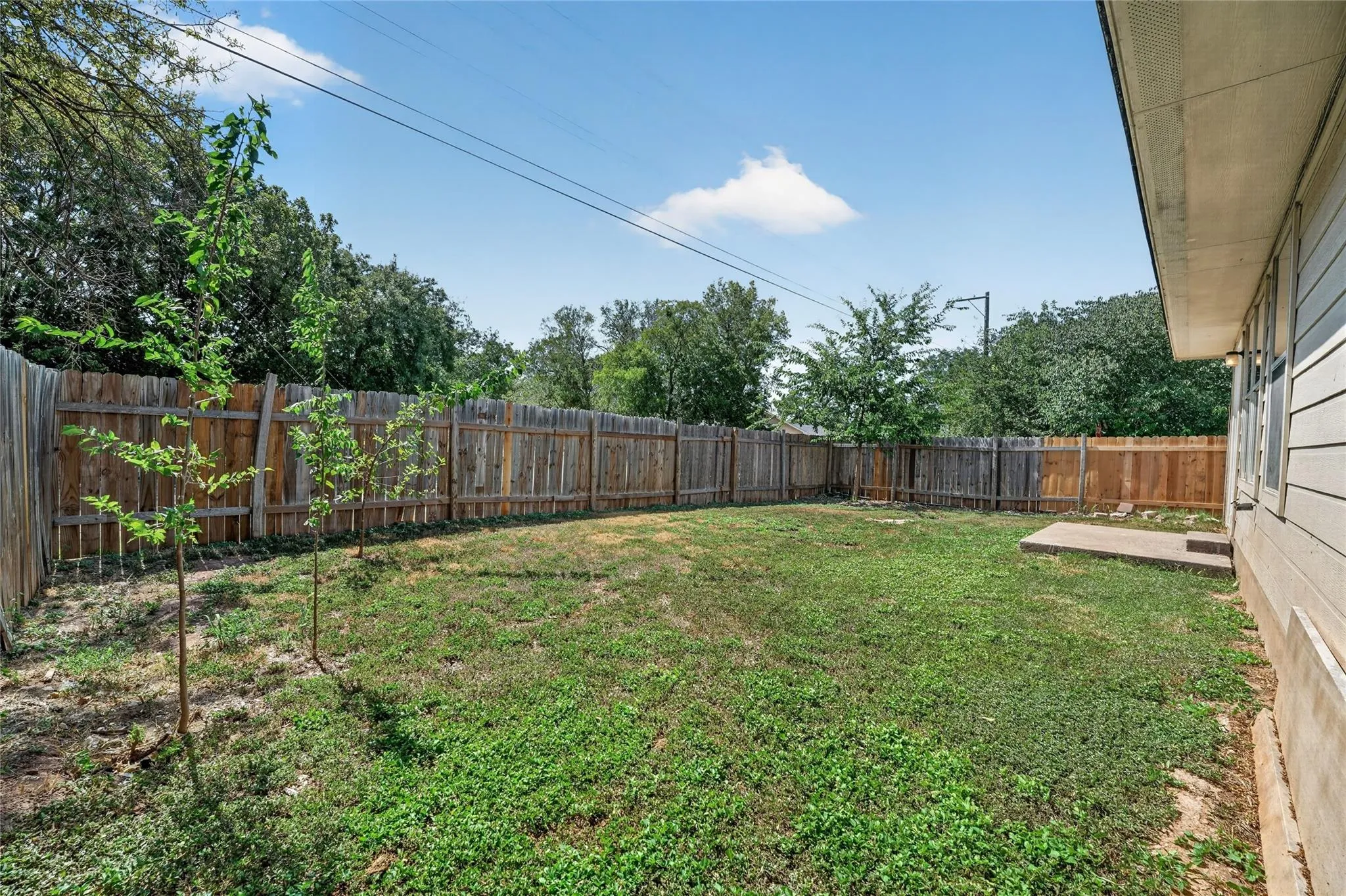 Photo 5 of 3101 ETHEREDGE DR