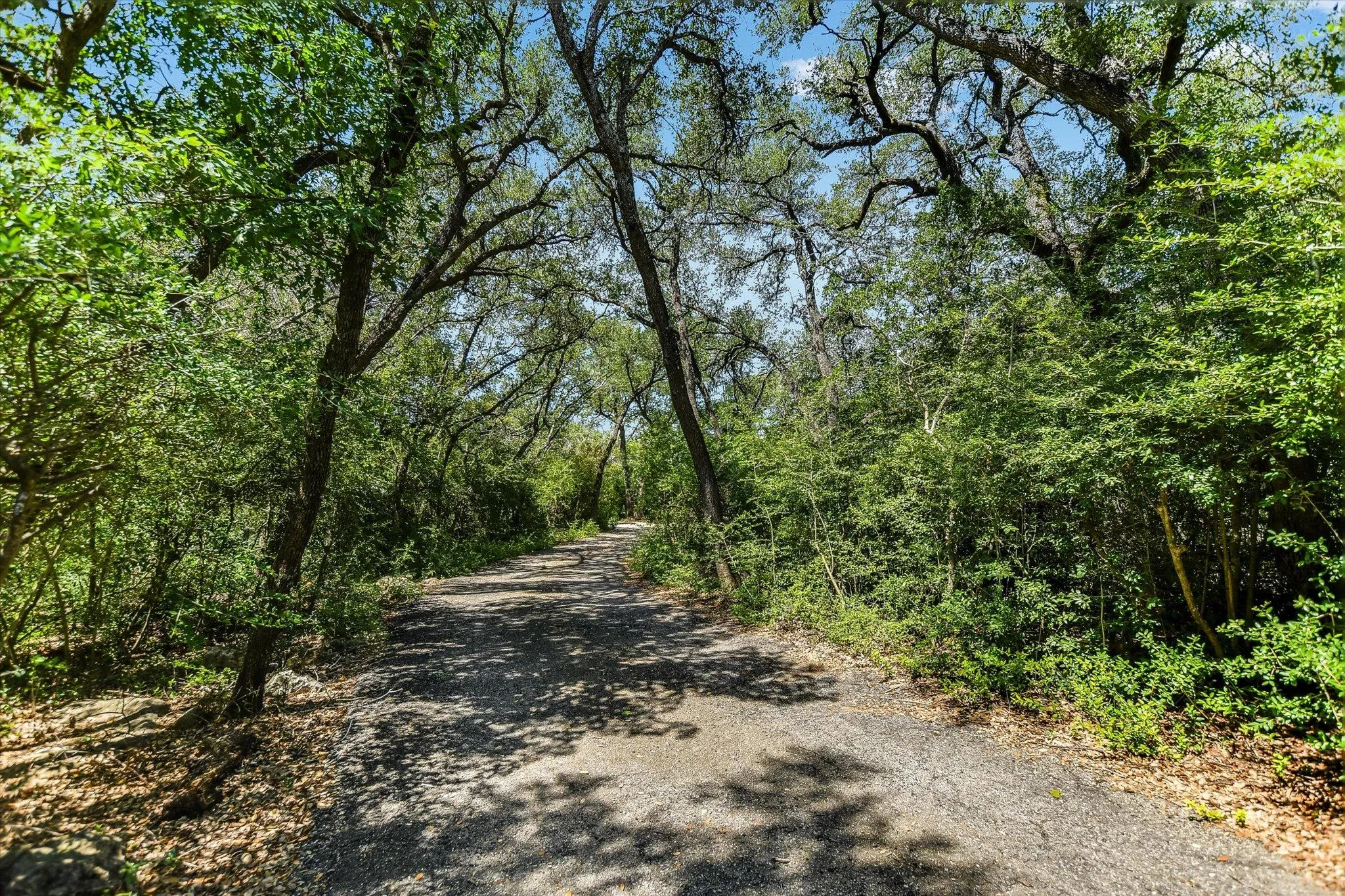 Photo 4 of 10412 DOUBLE SPUR LOOP