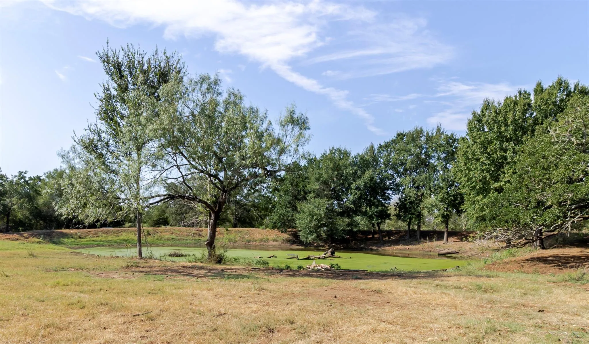 Photo 2 of 2015 TX-21 NONE