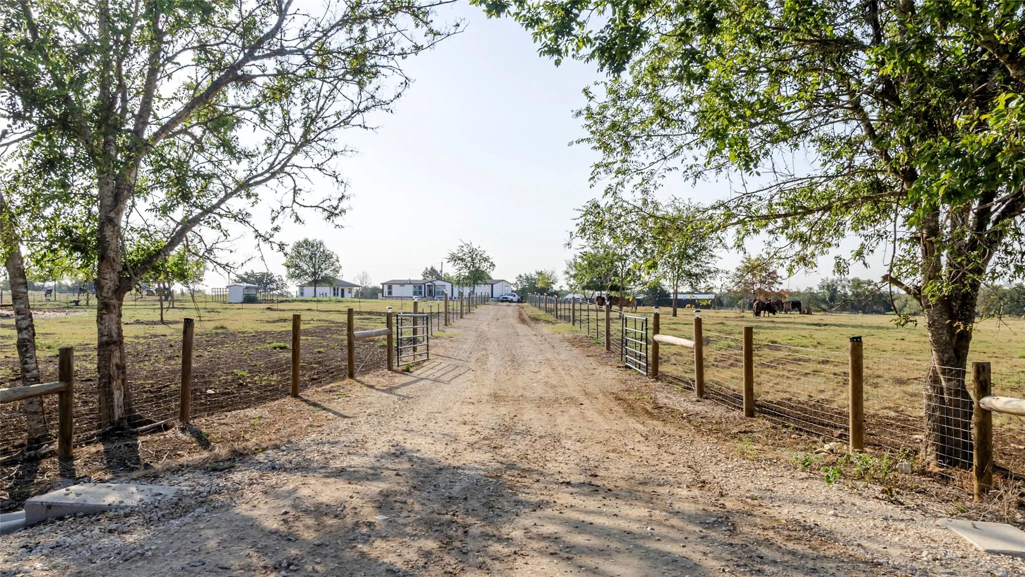 Photo of 2015 TX-21, Paige, TX, 78659