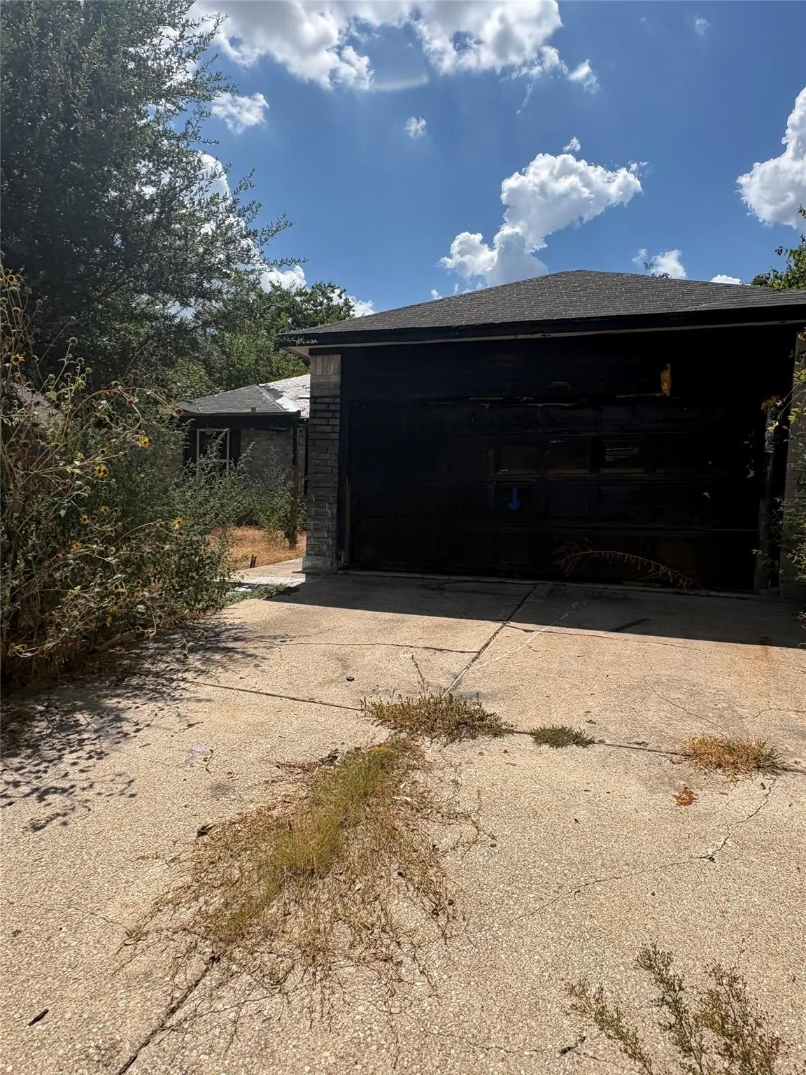 Photo of 205 BARBERRY DR, Georgetown, TX, 78626