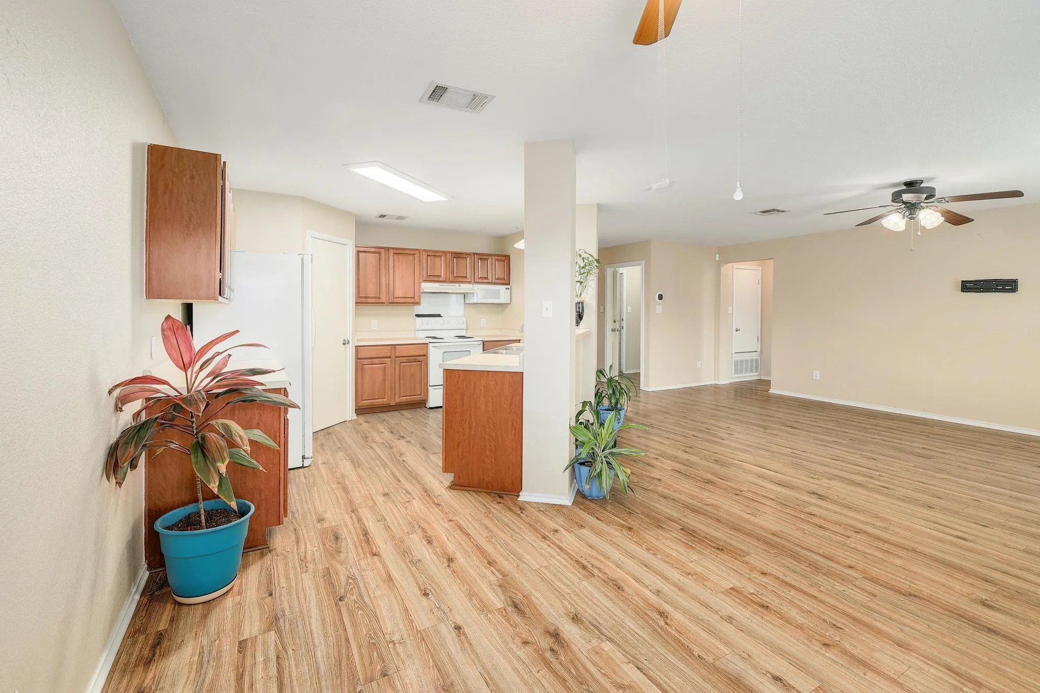 Photo 5 of 229 PHILLIPS ST