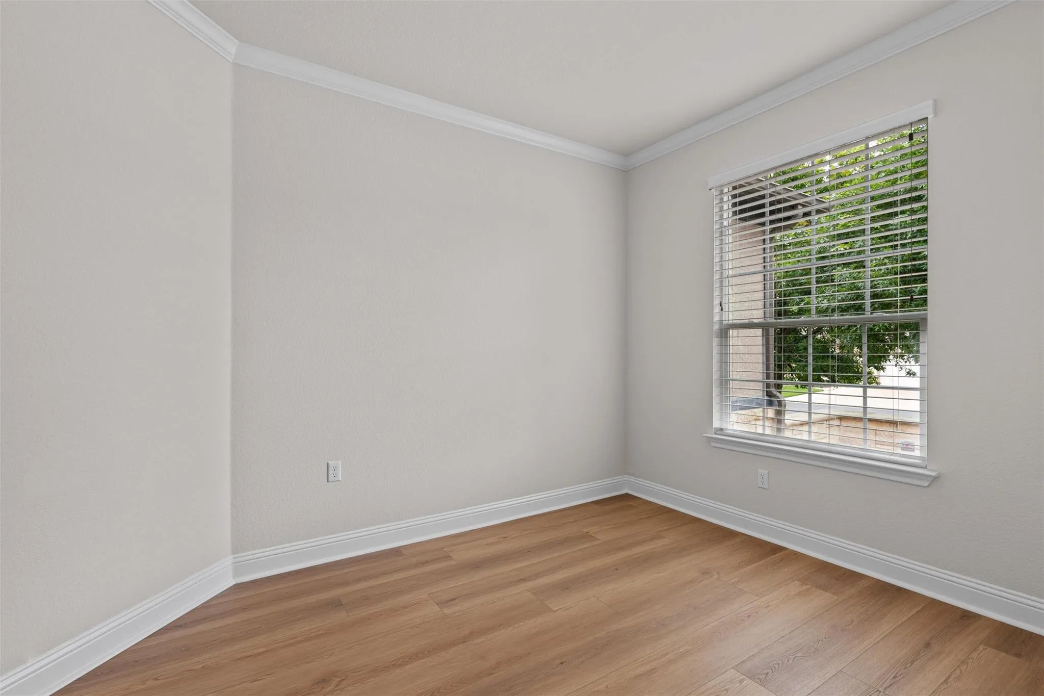 Photo 4 of 509 DAVIS MOUNTAIN CIR