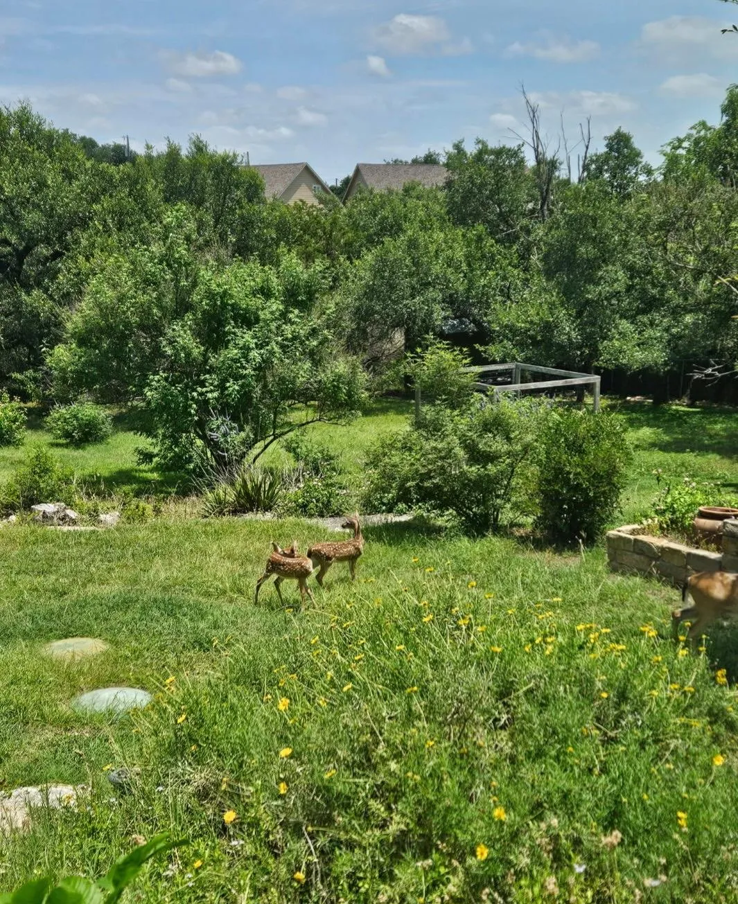 Photo of 10210 TWIN LAKE LOOP, Dripping Springs, TX, 78620