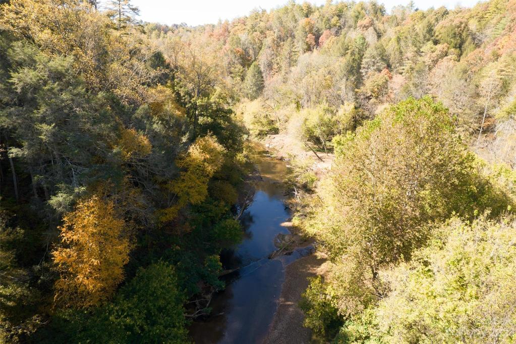 4750 feet of Ivy River Frontage