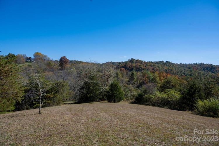 One of Several Clearings