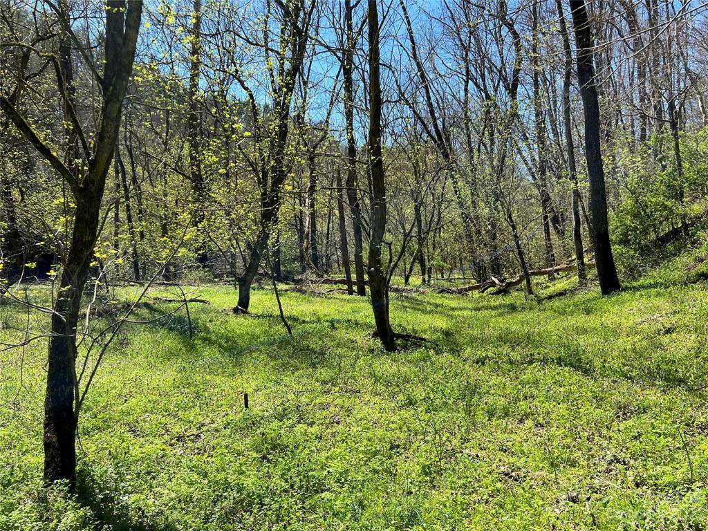 River Hiking Trail is 1 of 4 trails.