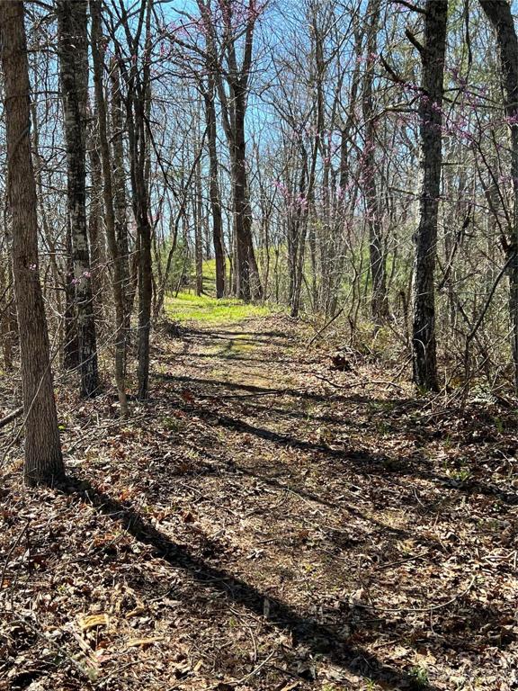 River Hiking Trail is 1 of 4 trails.
