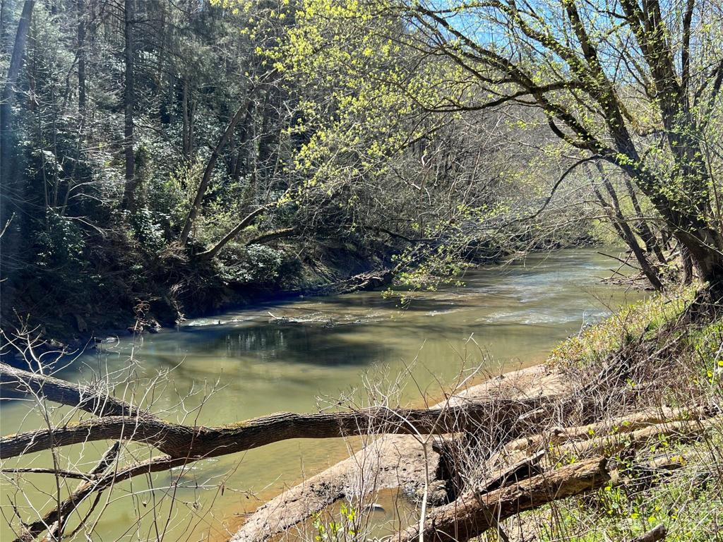 4750 feet of Ivy River Frontage