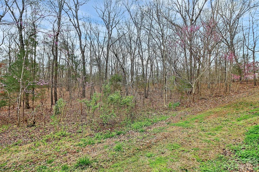 Private, wooded lot