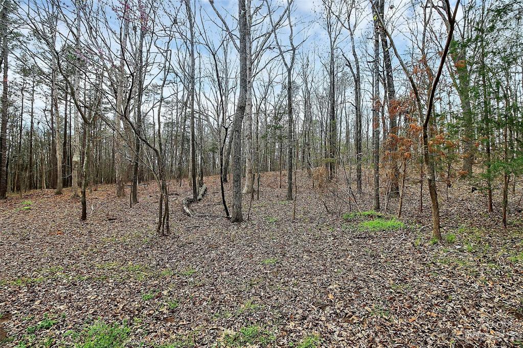 Private, wooded lot