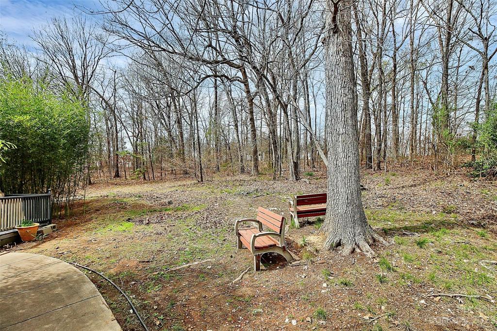 Backyard - so much space with little mowing!