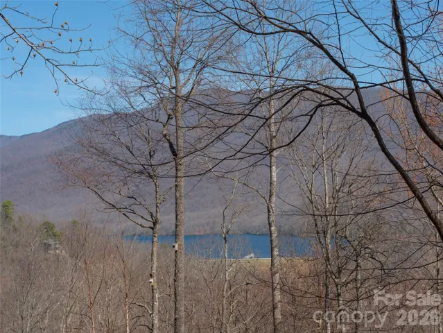 Build your custom home to capture the views of the Blue Ridge Mountains surrounding the Asheville watershed.  Photo taken from the middle to upper level of Lot #316.
