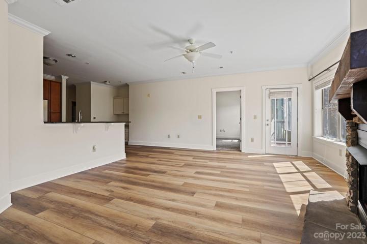 Lots of natural light in the living room.