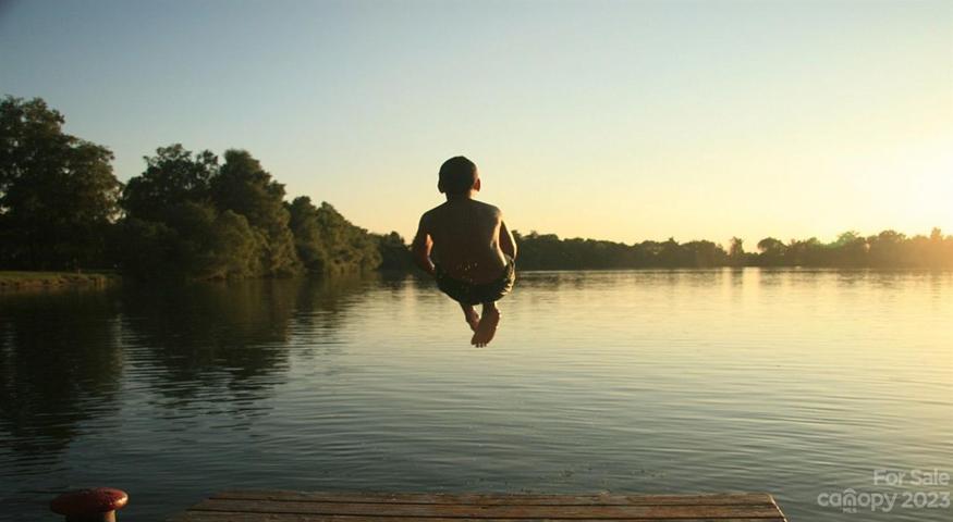 Lake life