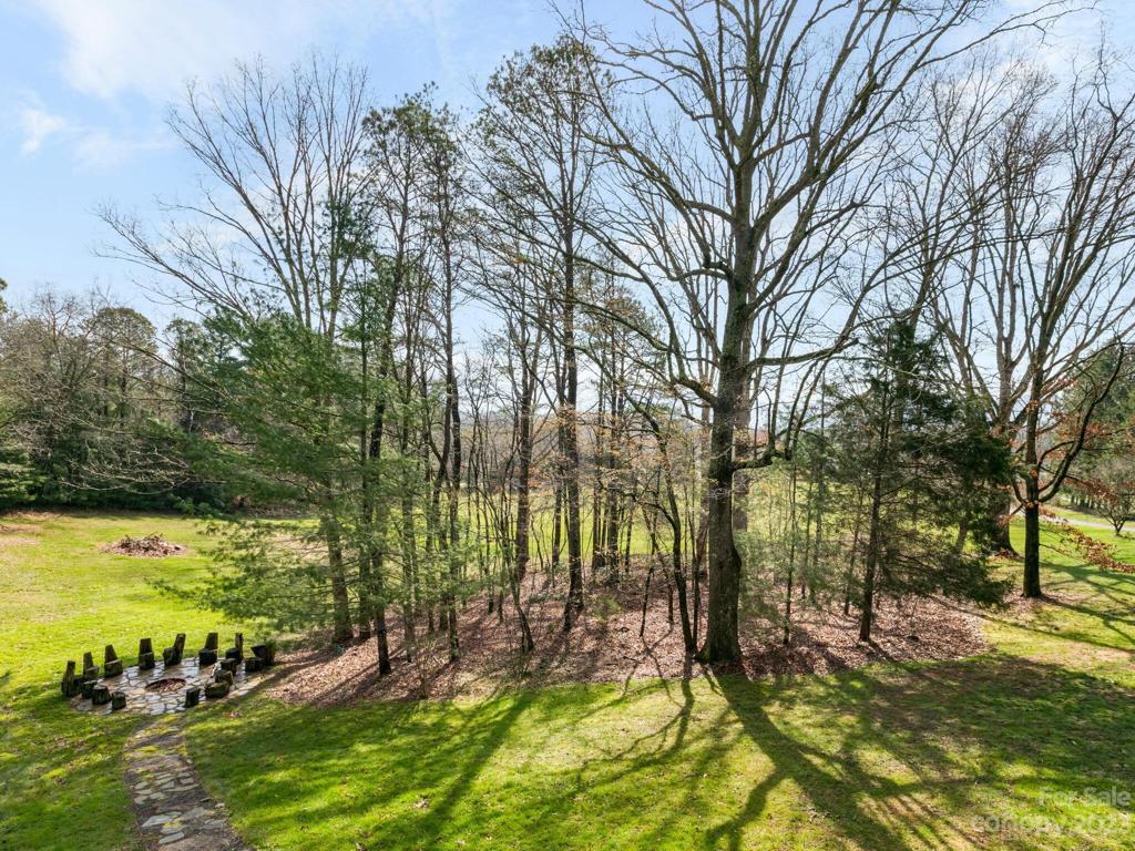 yard w/ firepit