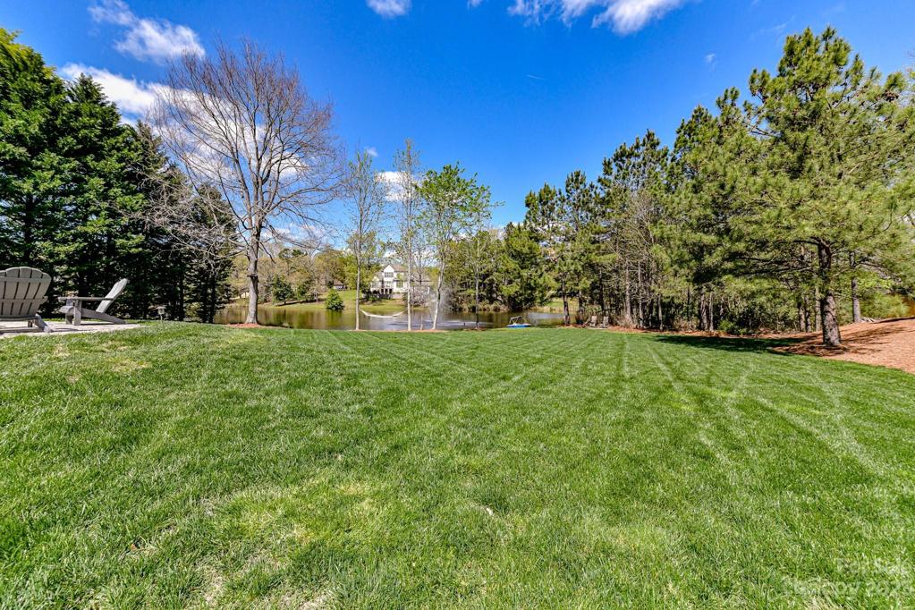 Huge Backyard surrounded by Trees