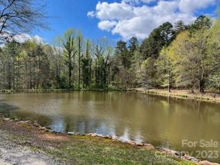 Pond