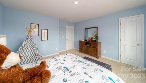 Photos are Representative