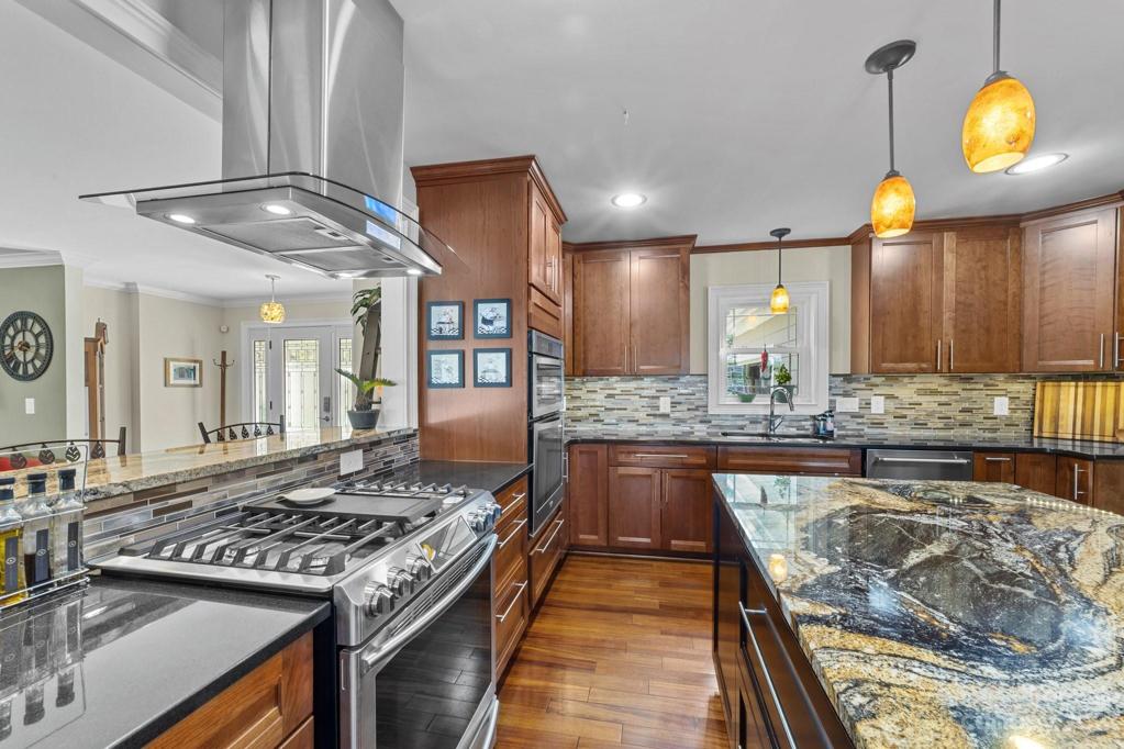 Gas range with vent hood