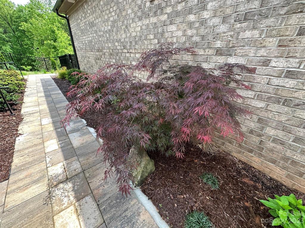 Gorgeous stone walkway and custom landscape plants.