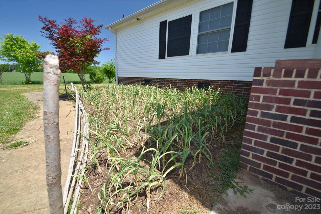 Garlic patch beside front porch
