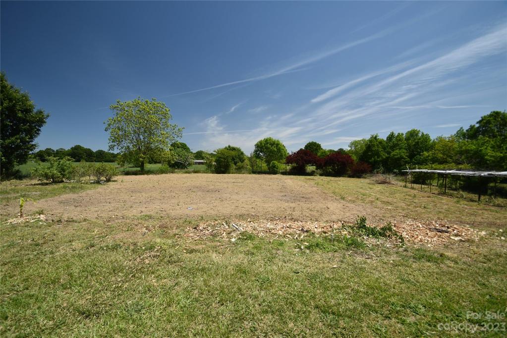 Gadens Area in back yard