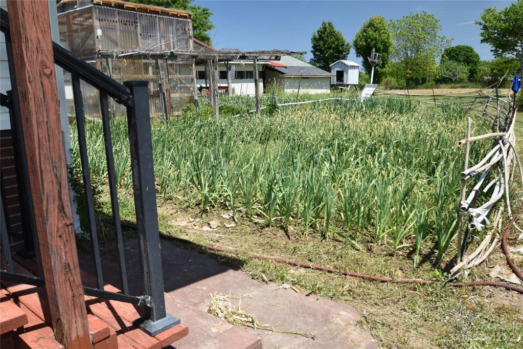 More Garlic and Greenhouse