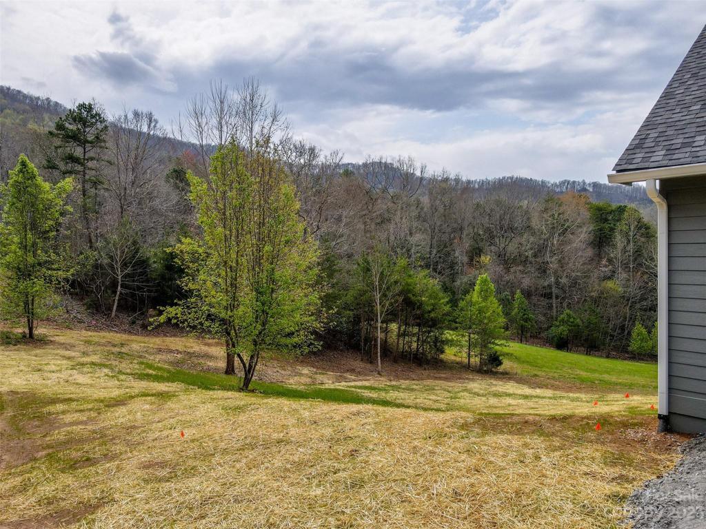 Back Yard Common area
