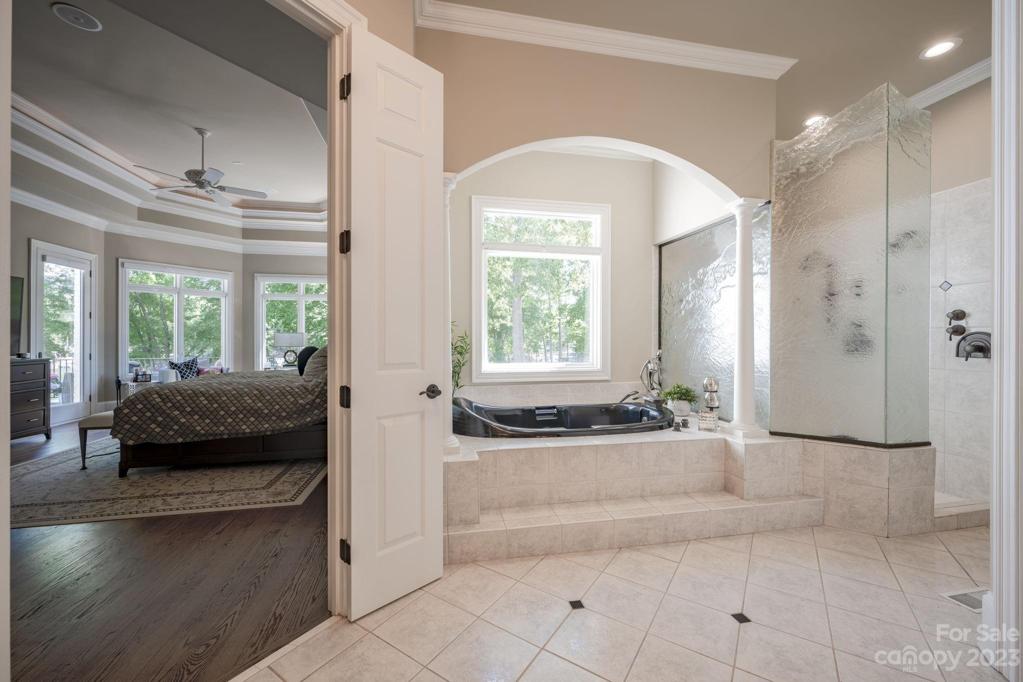 Master Tub and Shower area