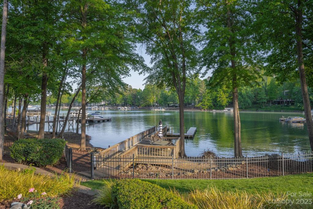 Waterfront Backyard Scenery