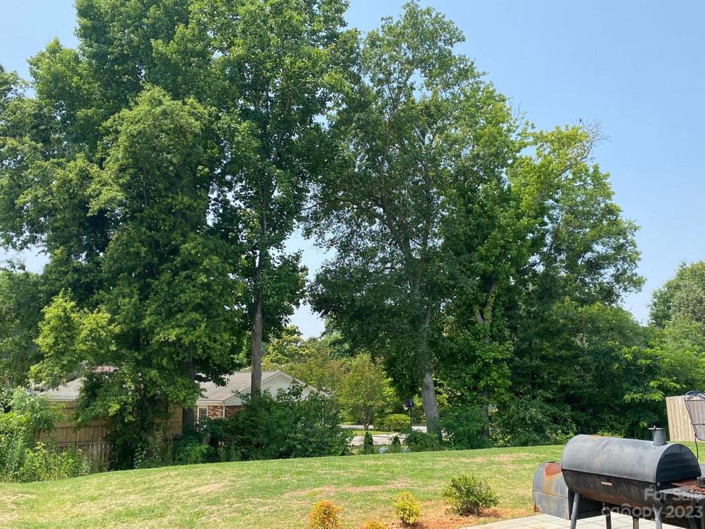 Nice flat backyard