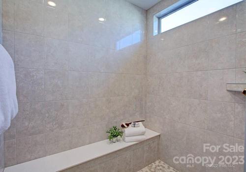 Primary Shower