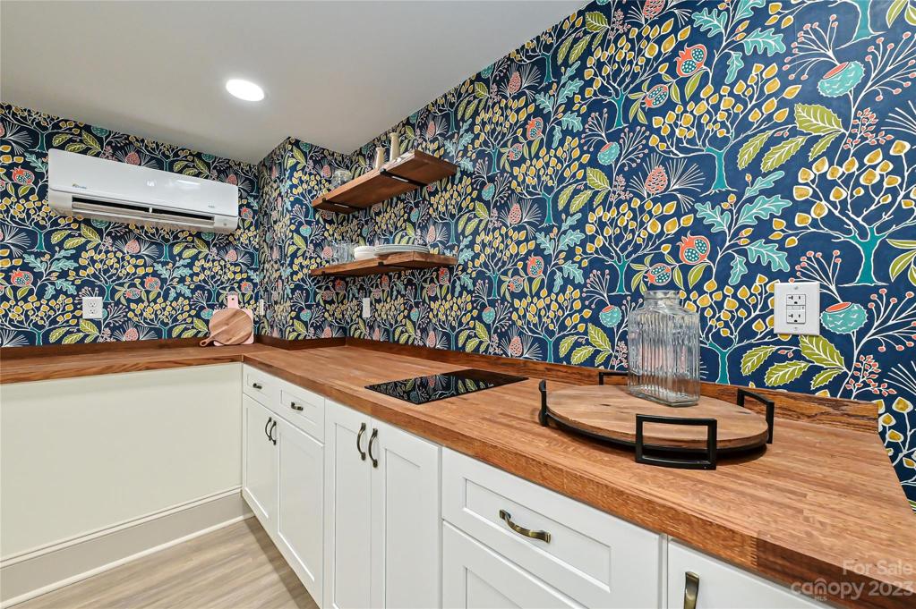 Basement kitchenette with butcher block countertops and induction cooktop