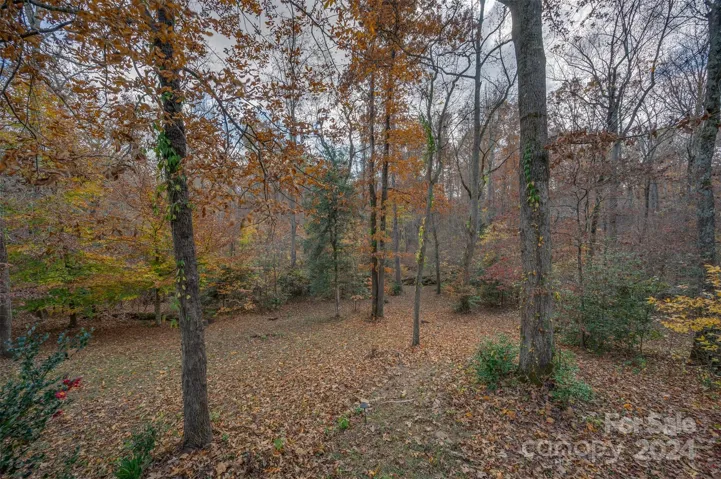 Backyard.