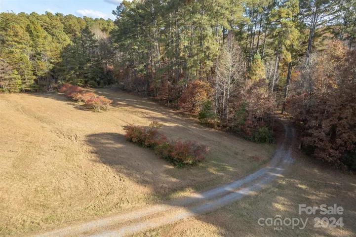 Blueberry bushes in this field and "disappearing" driveway.