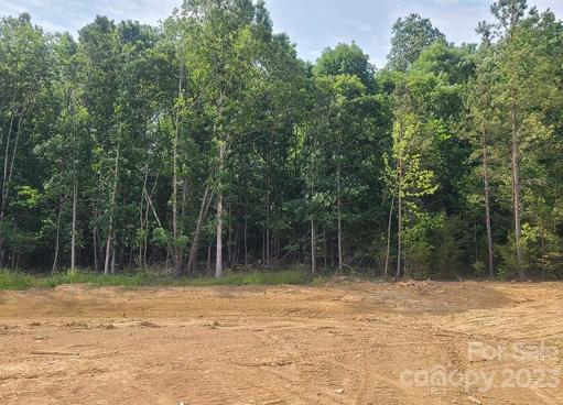 Backyard of Homesite 73 - will be ready this July