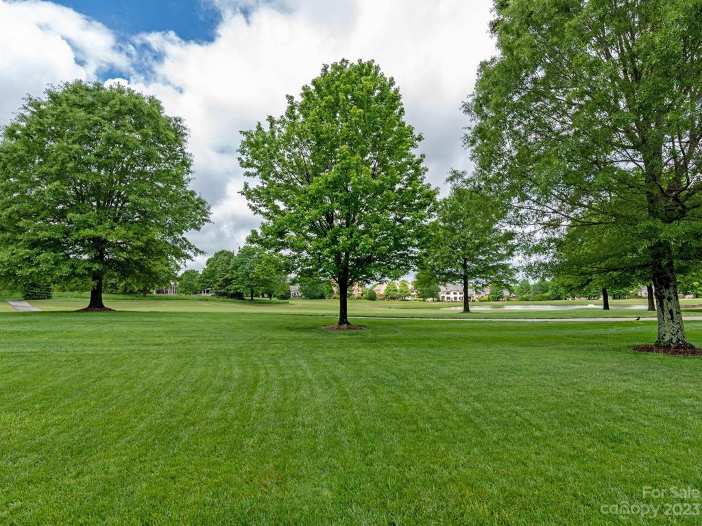 6th Fairway !