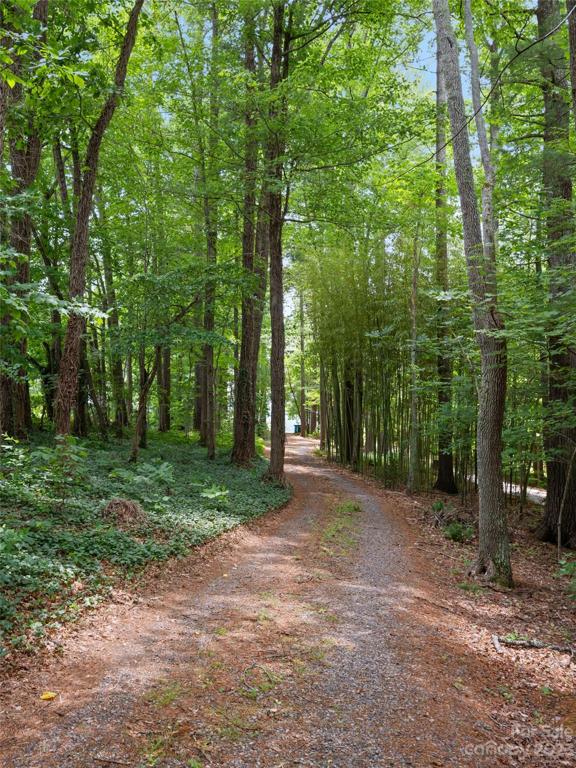 Beautiful, private driveway