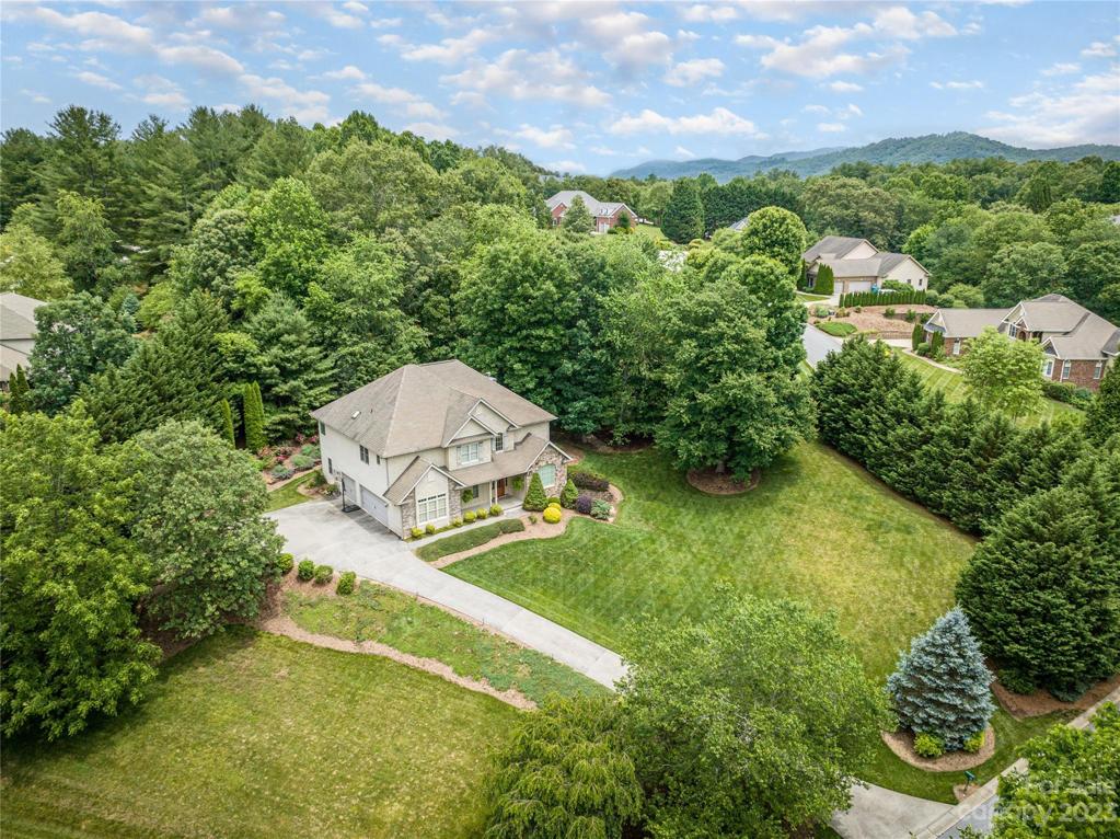 Tree line creates natural privacy