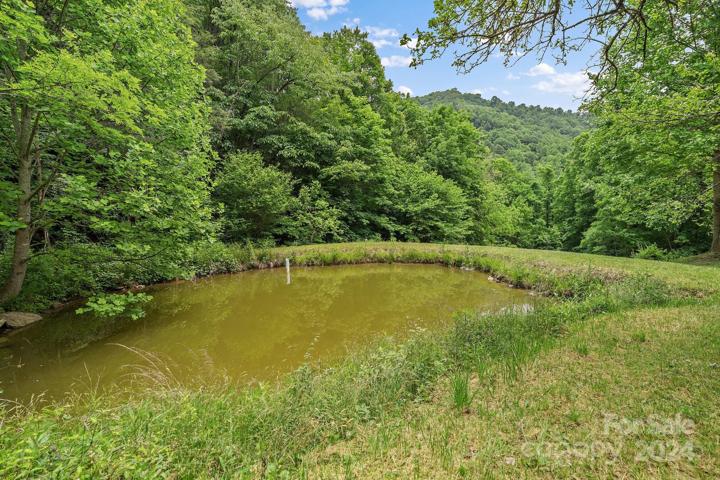 2nd view of pond on your property
