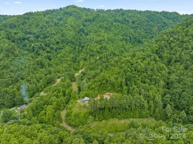 Your property has road footage to the bend in the curve (telephone pole is a good marker)