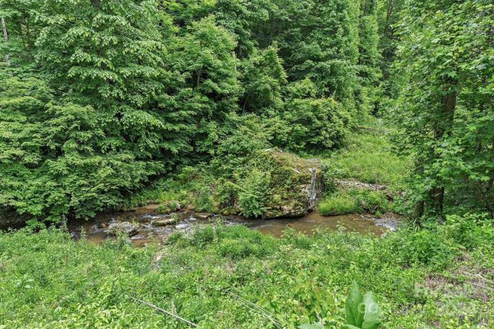 You own to the middle of Spillcorn Creek which is stocked with native trout