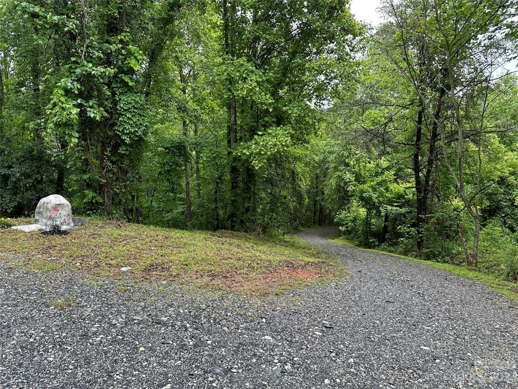 driveway coming up to the house .