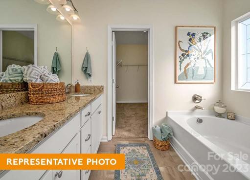 Owner's Bath