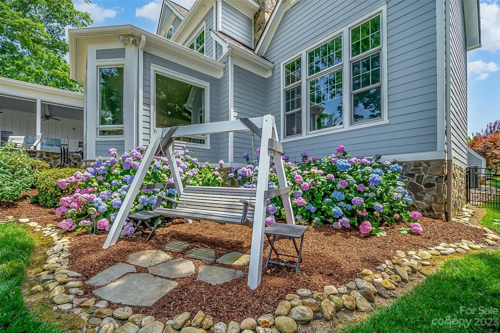 Beautiful flowers, full of color!