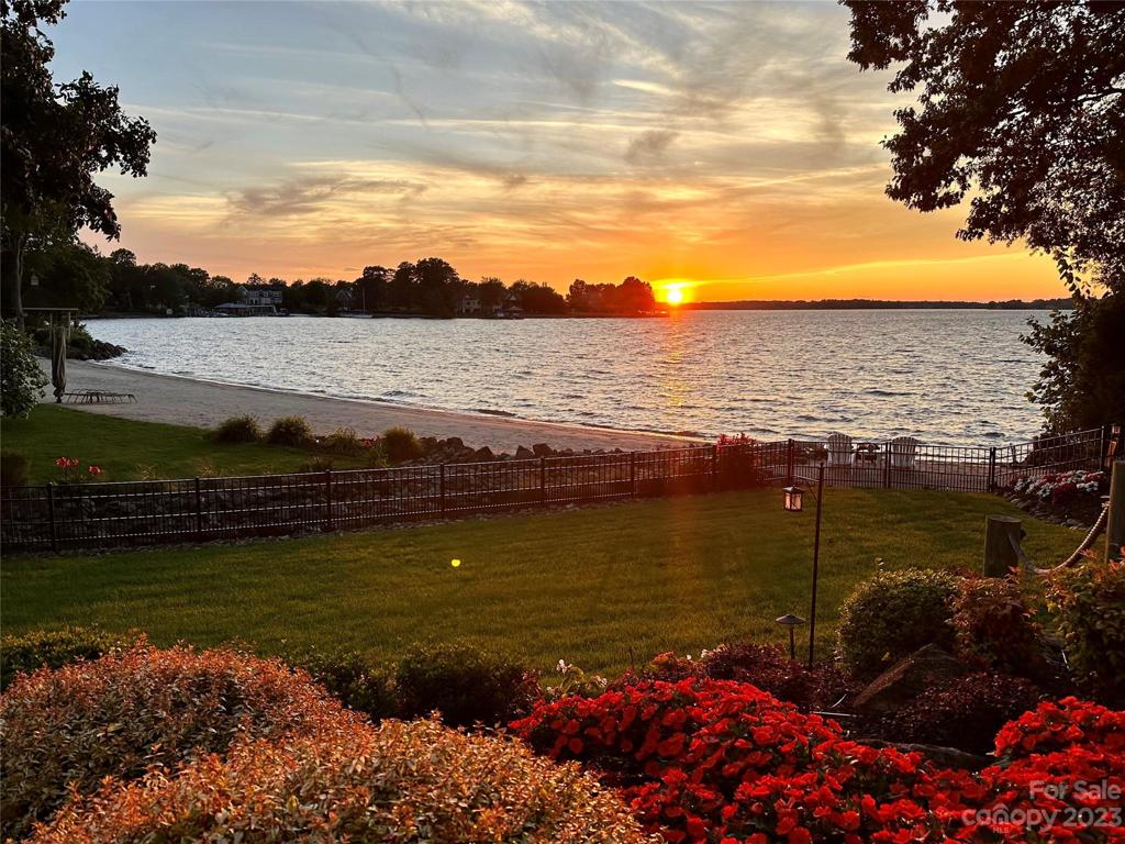 WOW....what a beauty!