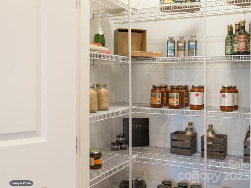 Pantry with plenty of room for storing what you need for special family meals.