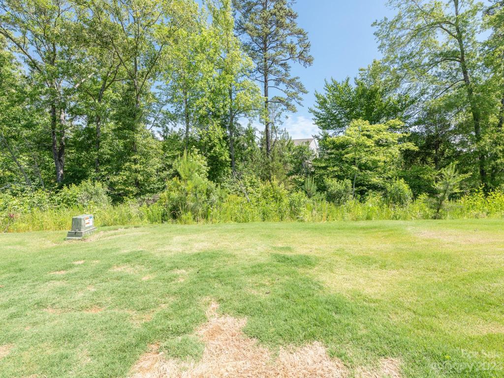 Privacy in backyard