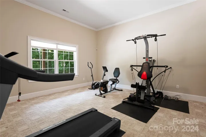 Gym, flex room or office on Lower level